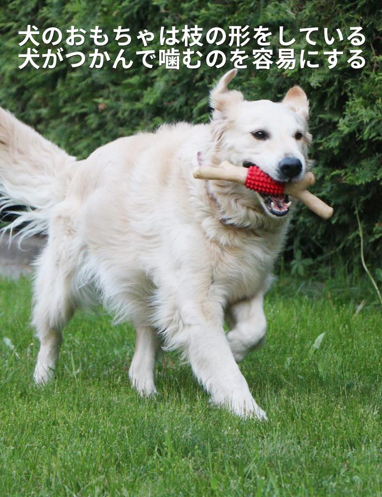 SCHITEC Hundespielzeug Kau-Zahnbürste Rind Einfach zum Zähneputzen Lernspielzeug Stressabbau Bewegungsmangel Langlebiges Trainingsspielzeug Geeignet für Große