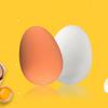 Realistic Shock Resistant Fake Eggs Novelty Gag Gift Safe Props for Magicians Performers