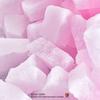 TOOSTY Xylitol Lactobacillus Candy 70g (Choose 1 of 2 Types) (Snow Igloo / Fruit Parfait)