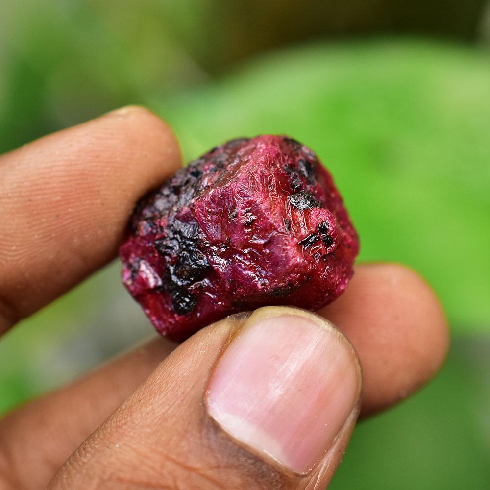 Natural Red Ruby Loose Gemstone 75.50 ct Uncut Raw for Collection for Lapidary and Gem Collections