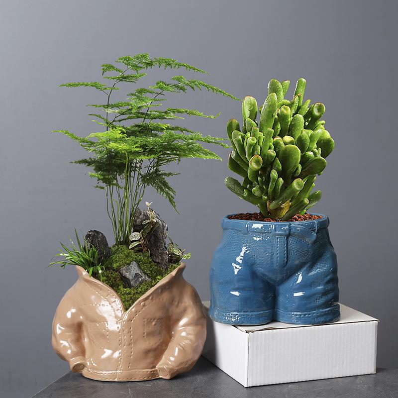 Plant Wenzhu Combination Ceramic Flower Ware European Simple Creative Succulent Flower Pot Interior Decoration