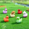 9 Pcs Funny Vegetable Duck Figurines Resin Tiny Duck Sculpture Cute Eggplant Pumpkin Onion Mini Duck Statue for Home Office Desktop Car Dashboard