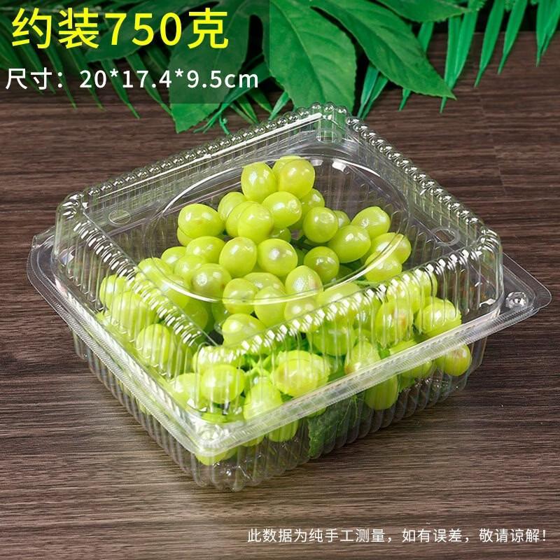 Disposable Transparent Fruit Container