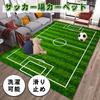 SALUDABLE Soccer Mat, Soccer Field Play Mat, Kids' Carpet Rug, Washable (100x200cm)