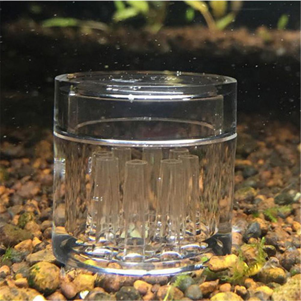 Snail Trap Transparent Leech Vivarium Planarian Pest Catch Pen Red Bee Shrimp Worm Bait Feeding Box Aquarium Cleaner Tool