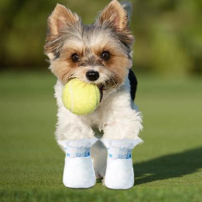 Giyim ve ayakkabı – Köpek ayakkabıları