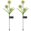 Bright Picture Solar LED Dandelion Outdoor Ground Lights