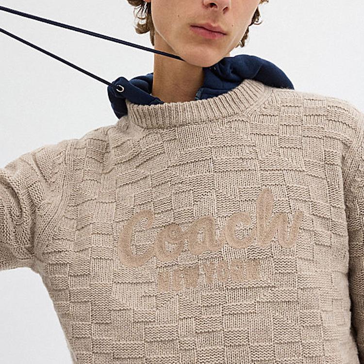 Coach FW24 Letter Embroidery Crew Neck Pullover Sweater Men sweater Light-Brown CT065-OTM