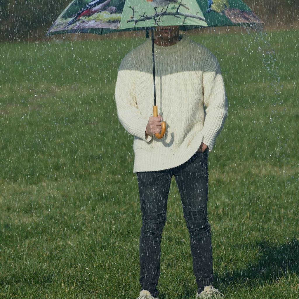 Parasol Z Nadrukiem W Ptaki 122 Cm