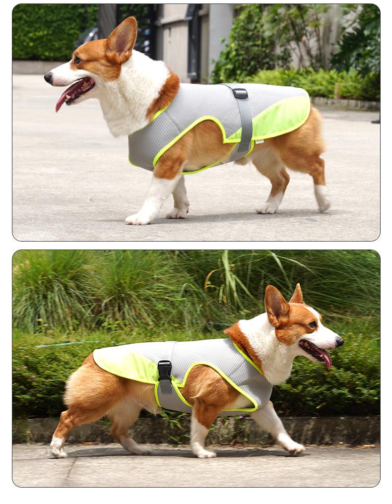 Summer Dog Cooling Vest: Lightweight, Breathable Heat Relief for Pets