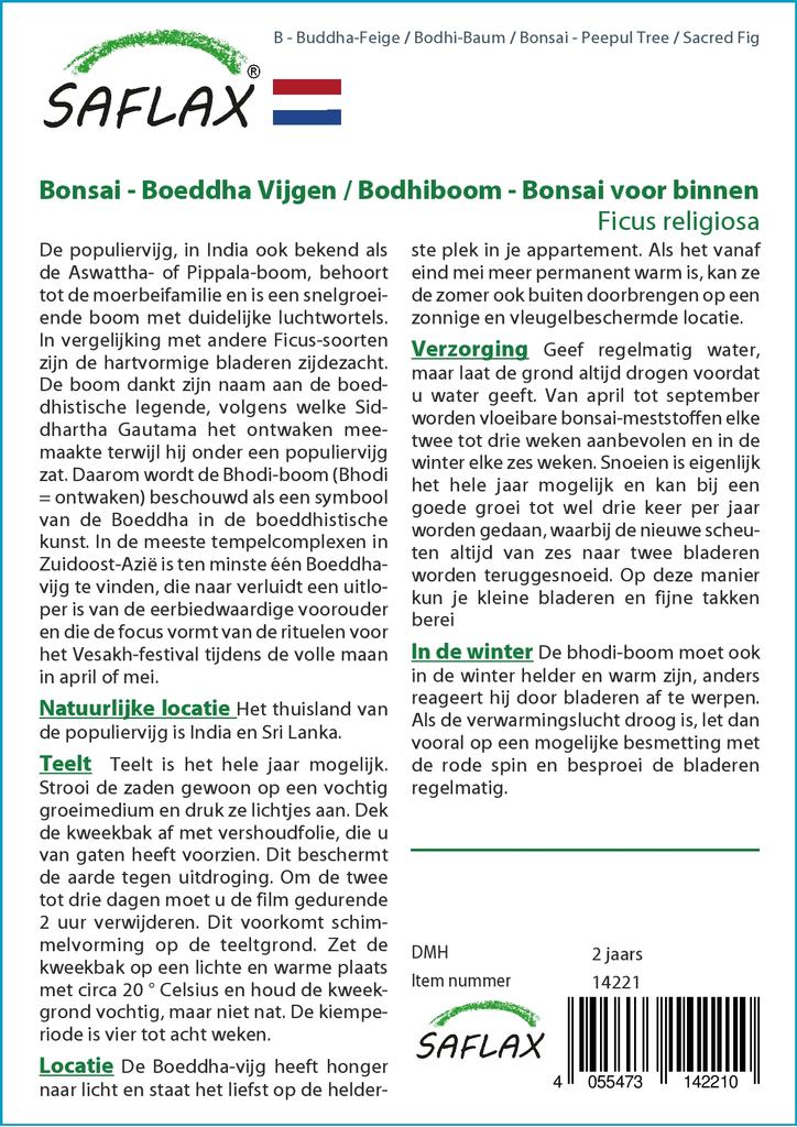 SAFLAX Bonsai - Peepul Tree / Sacred Fig - 100 Seeds - Ficus Religiosa