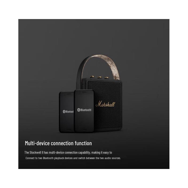

Marshall Stockwell II Portable Bluetooth Speaker