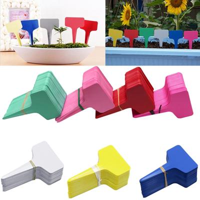 Lot de 100 étiquettes en plastique de type T pour plantes, étiquettes pour plateaux de pépinière et jardin