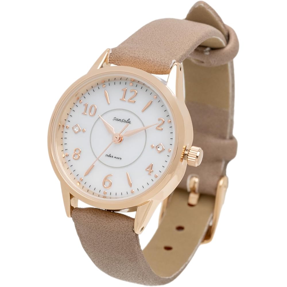 Fieldwork Women s Analog Solar-Powered Watch Brown Leather Strap ASS179-4
