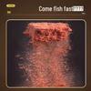 Enhanced Fast-Dissolving Vita Rice Fishing Bait Cubes for Wild Carp & Bream