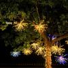 LED Firework String Lights