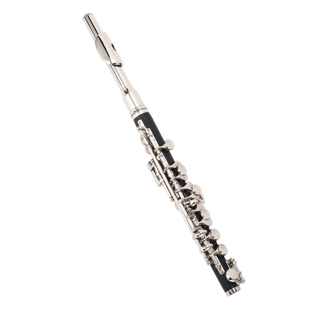 AKLOSIPY C-Key Piccolo Flute Beginner Kit with Carrying Case and Tuning Rod - for School Bands and Orchestras
