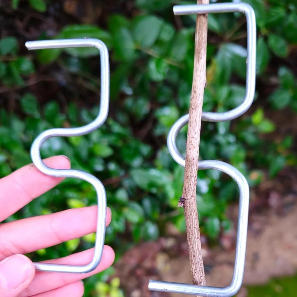 50PCS Fruit Tree Branch Shape Fixator Garden Yard Trees Support Holder Plants Vine Trainers M-Shaped Steel Wire Branch Bending Tools