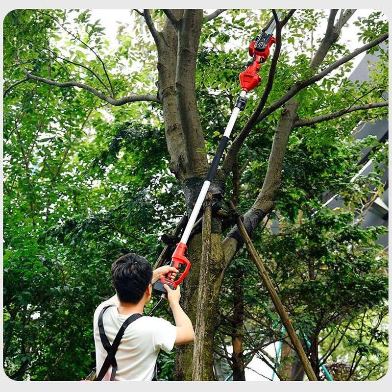 Qinyan 24V Electric Pole Hedge Trimmer CN Plug (adapter Included)