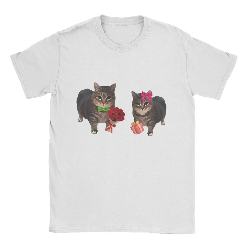 Oiia Oiia Cat T-Shirt Beach Spinning Cat Lover Pure Cotton Unisex  Popular Casual Tshirt Short Sleeves Aesthetic Top Tees