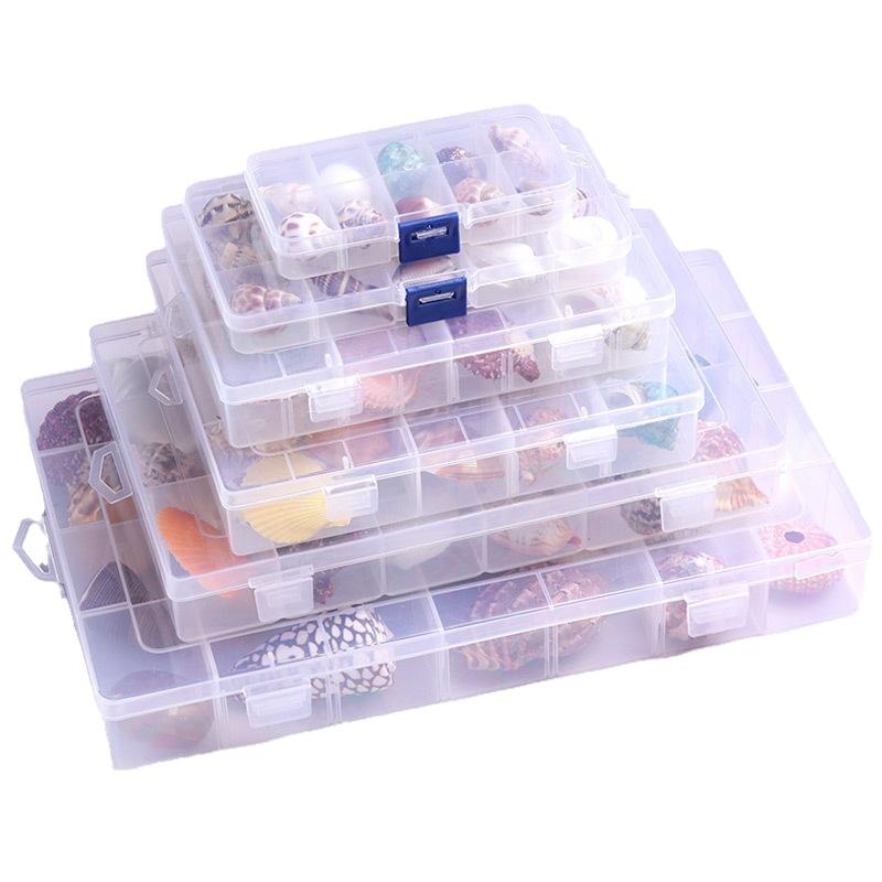 Shell Conch, Popular Science Materials, Specimens, Snail Storage Set, Gift Box, Kindergarten Marine Life Collection