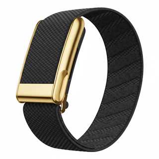 NEW Sports Nylon Band for Whoop 5.0 Strap for WHOOP 5.0MG Woven Elastic Strap with Gold/Silver/Rose Gold Metal Frame
