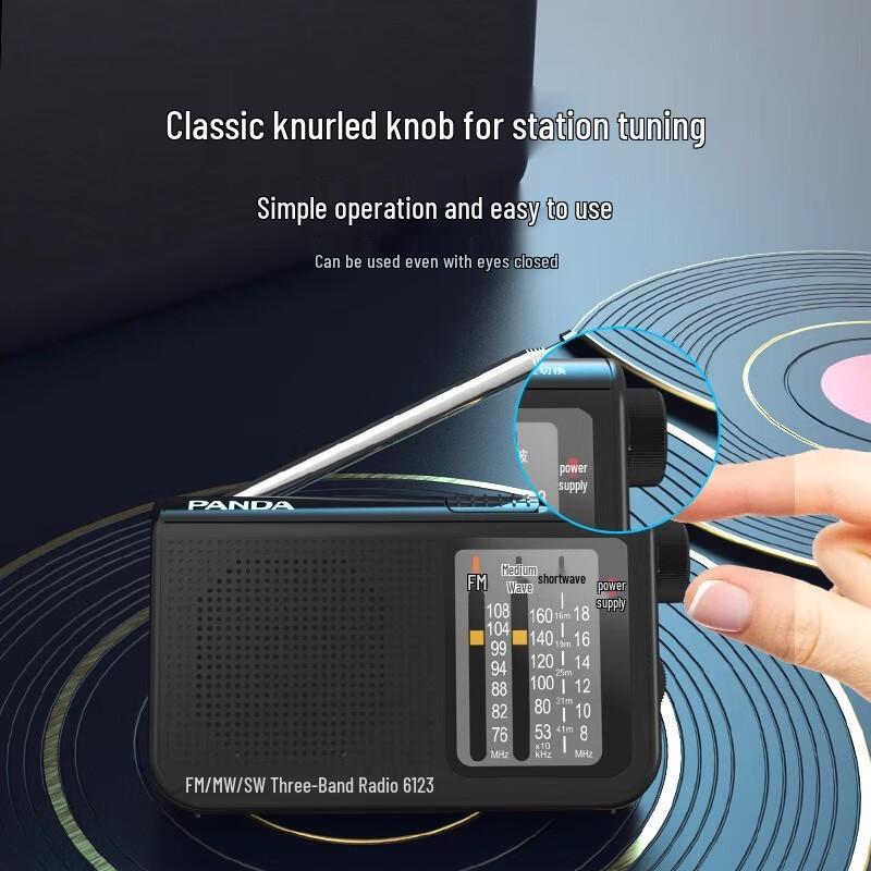 PANDA 6123 Portable Multi-Band Pocket Radio
