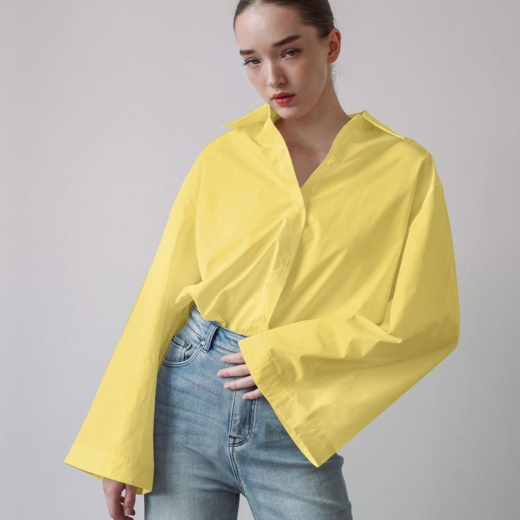 French simple commuter temperament shirt women's autumn new fashion lapel long-sleeved single-breasted loose casual top