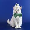 2Pcs/Set Creative Pet Sequin Bow Tie Adjustable Pet Crown Collar Pet Headpiece  Pet birthday Costume