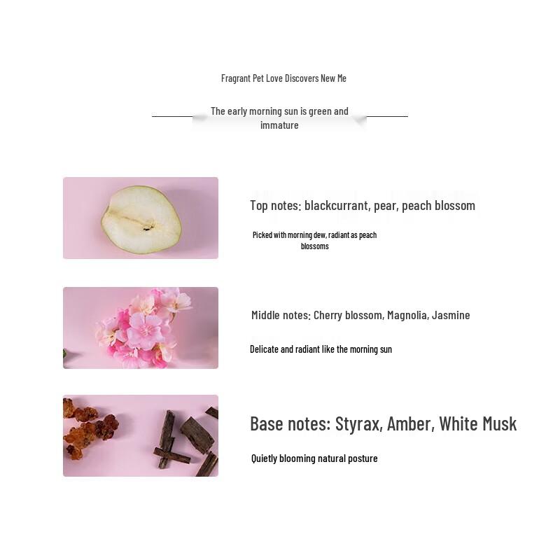 Amino Mason Sakura Series Amino Acid Conditioner