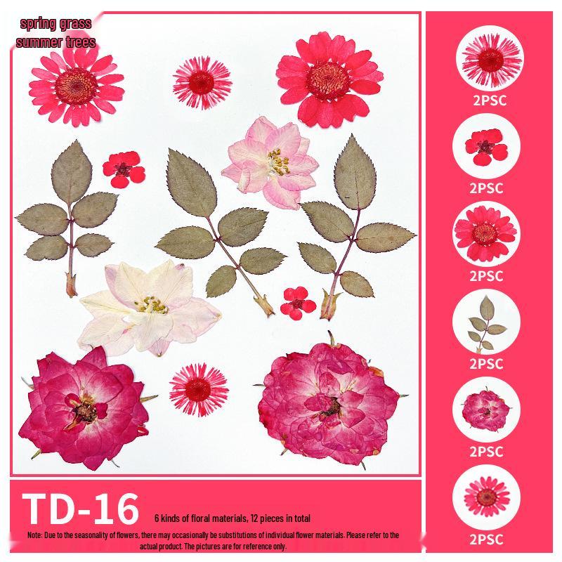 Handmade Pressed Flower Bookmark and Epoxy Sticker Pack with Real Leaf and Plant Specimens for DIY Face Makeup.