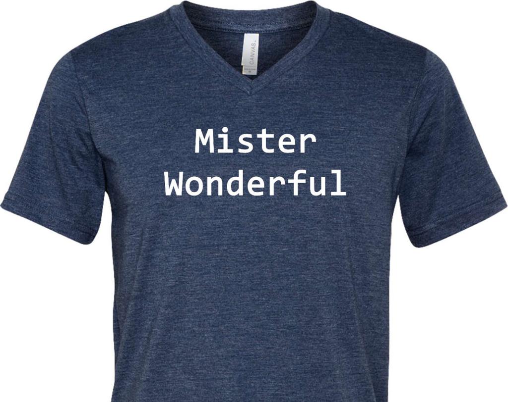 Mister Wonderful Tri Blend V-neck Tee T-Shirt WONDERFUL-C3415