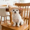 Sun Protection Pet Straw Hat Adjustable Dog Fisherman Hat Fashion Pet Sunshade Hat  Summer Season