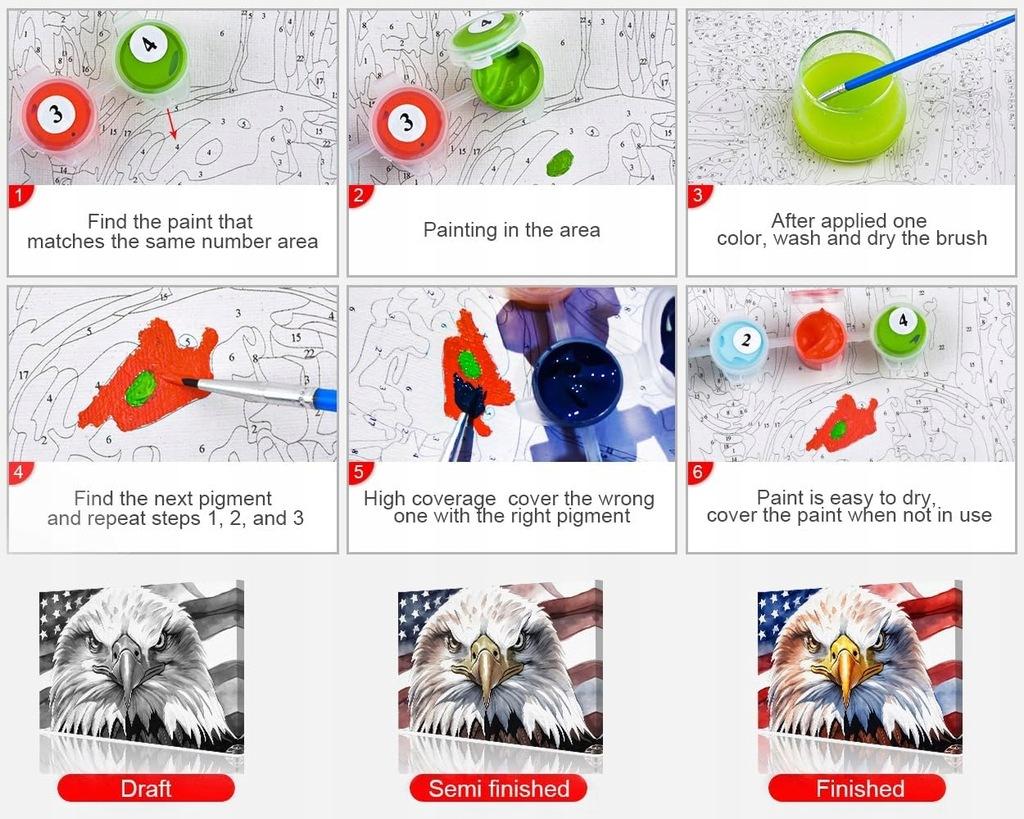 DIY Paint by Numbers Eagle and USA Flag 40x50cm Acrylic Paints