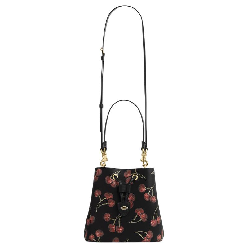 Coach Rowan 21 Cherry Print Bucket Bag Cow Leather Shoulder Handbag Small Size Women's Multicolor