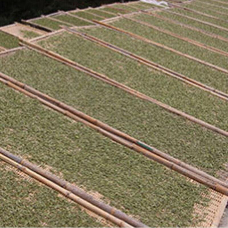 500g 2011 Fuding losse bladwitte thee biologische High Mountain Shoumei lentethee