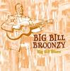 CD BIG BILL BROONZY  Big Bill Blues FABCD101 FABULOUS 2002 UK Blues Used