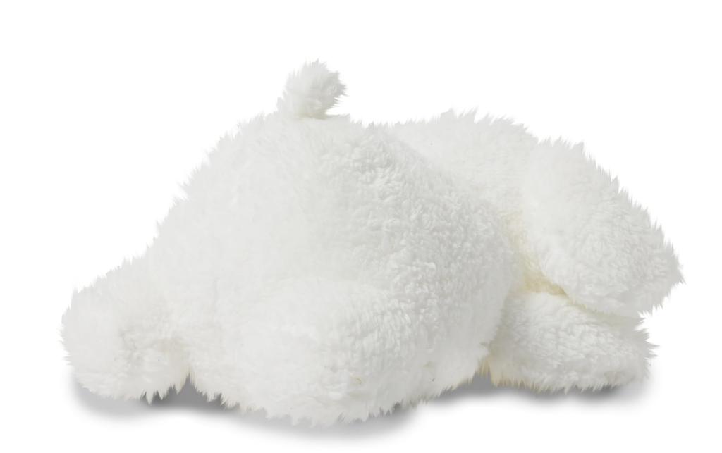 Maltese Stuffed Animal L Size Official Korea Puppy Maltese