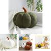 Creative Pumpkin Shaped Pillow For Unique Home Decoration Made With High-quality Pp Cotton