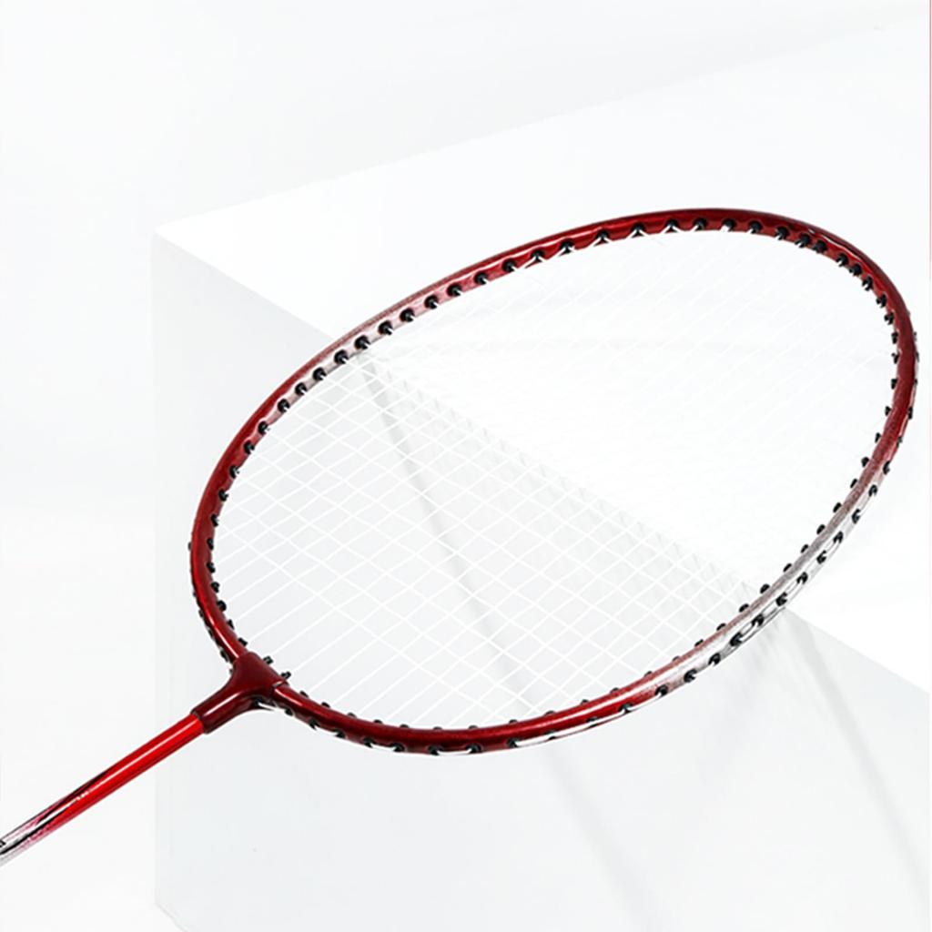 YZP Badminton Racket Set, Double Racket, Lightweight, Sturdy, Beginner, Carrying Bag Included, Adults, Children