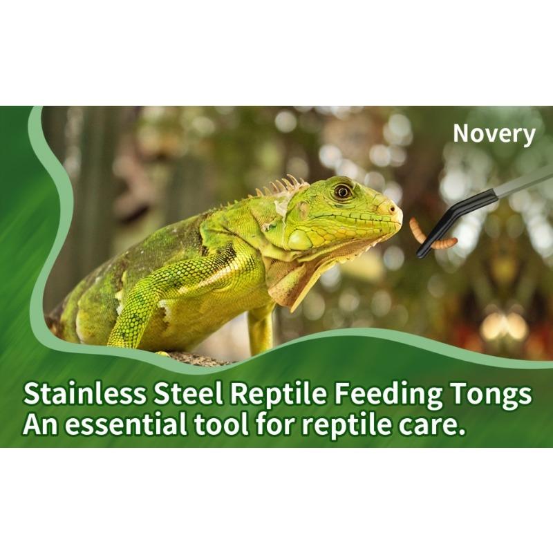 Stainless Steel Reptile Feeding Tongs with Rubber Tips, 10, 15.24cm Straight & Curved Long Tweezers for Aquarium or Crafts