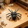 Gedetailleerd Spinnenornament voor Display Realistisch Beeldje, Levensgetrouw Nep Vogelspin Figuur, Plastic Dierlijk Arachnide Model Halloween Grappen Props,