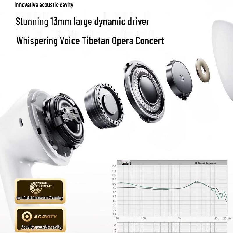 Sanag T20S True Wireless Bluetooth Earbuds