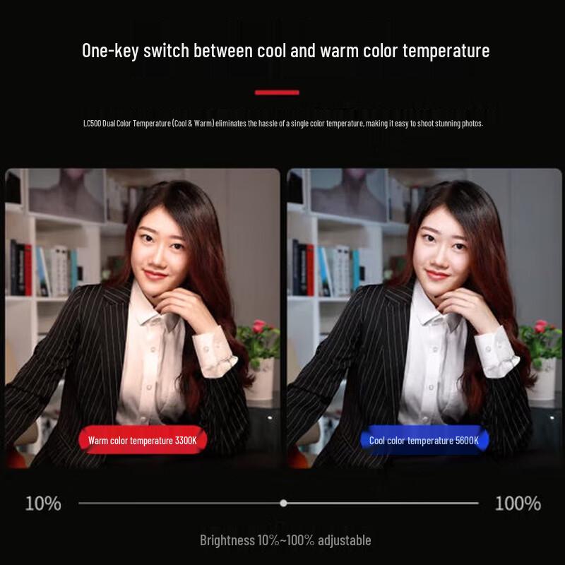 Godox LC500 Bi-Color LED Light Stick