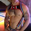 Harness Retro Remix Red - Breedwell - Harness