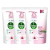 Dettol Moisturizing Antibacterial Hand Soap Refill (3x450g)