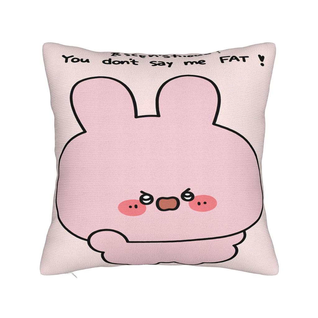 Pillow Cover Asamimichan and Anemimi  Morden Pillow Case For Sofa Couch Bed Living Room Pillowcases