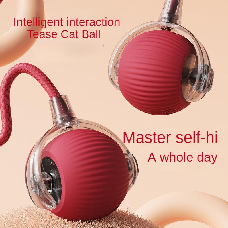Small to Medium Dogs Sound Making Toy Christmas Gift Chew Proof Dog Toy for Education Pet Supplies