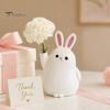 Home Office Decor Vase 3D Printed Rabbit Ornament, White Bunny Flower Holder Hydroponic Plants Container, Animal Shape Desktop Decoration for Matte