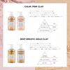 BX Clay Esthe Fortifying Hair Mask Gold Clay 800g